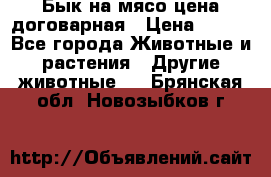 Бык на мясо цена договарная › Цена ­ 300 - Все города Животные и растения » Другие животные   . Брянская обл.,Новозыбков г.